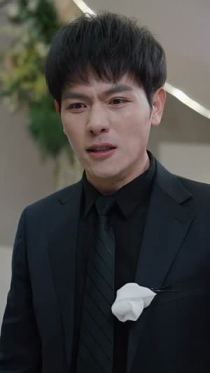 天放晴,我放手(35集) 天放晴,我放手(35集)短剧合集导演剪辑版