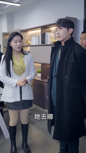 双子星黑白切丨82集高清流畅短剧在线看