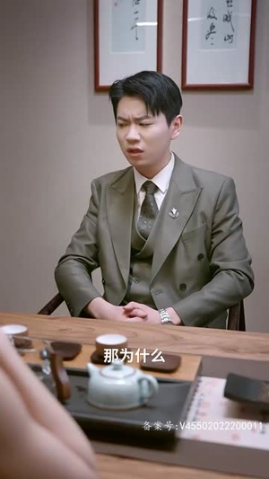 潜龙出山之我为王丨100集全集高清在线观看