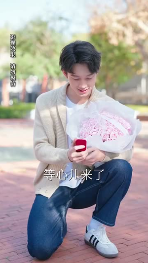 风华尽敛为谁藏丨60集精彩剧情随心看
