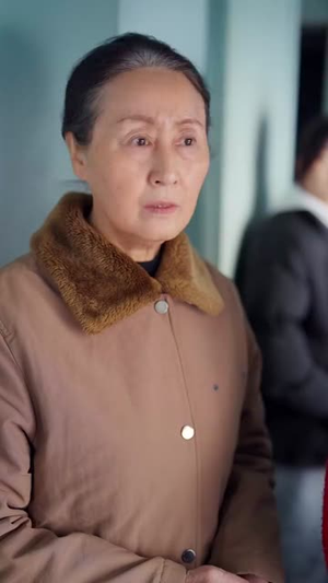 春运回家路丨32集短剧全集在线观看无广告