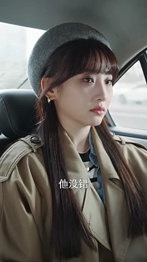 裴总每天都想父凭子贵丨99集全集高清在线观看