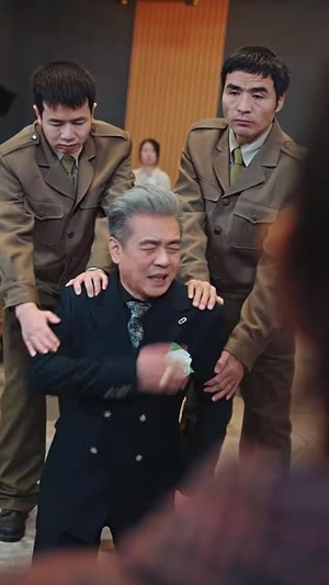 我儿勇冠神州丨60集精彩剧情免费看全集
