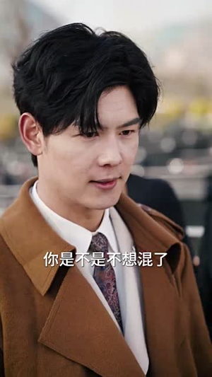 奈何真心付流水丨46集短剧高清在线观看