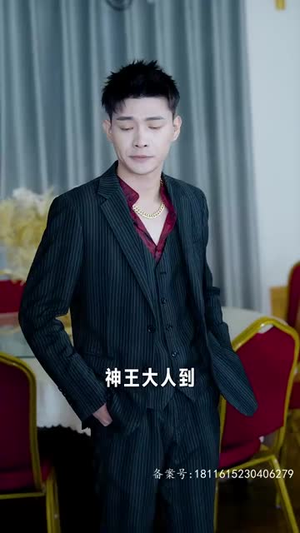 暗龙殿(100集) 暗龙殿(100集)短剧终章免费大放送