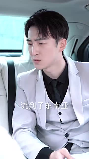 秘宠丨100集完整剧情免费观看