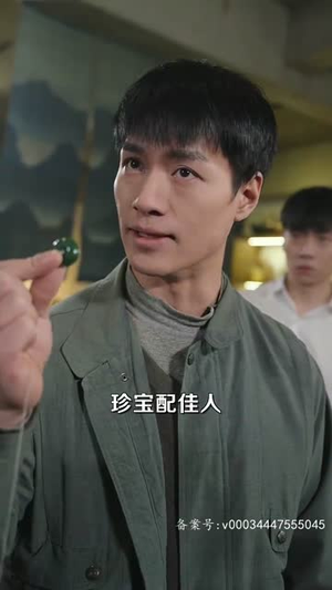 重生1998,我的繁花时代(83集) 重生1998,我的繁花时代(83集)短剧合集蓝光画质