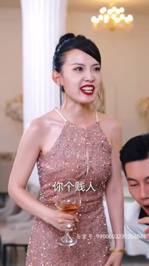 豪霸天下(100集) 豪霸天下(100集)短剧大结局限免特辑