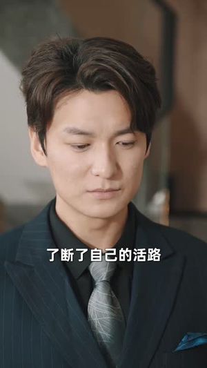 姻果轮回(30集) 姻果轮回(30集)短剧大结局合集放送