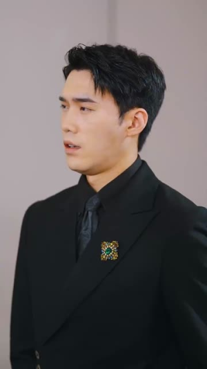 半月风光丨100集高清流畅短剧观看