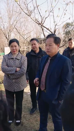 新春笑怒归(32集) 新春笑怒归(32集)短剧超清全集在线看