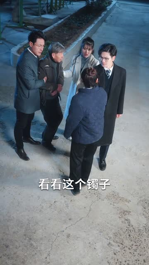 春晖照日暮归丨30集高清流畅短剧解锁