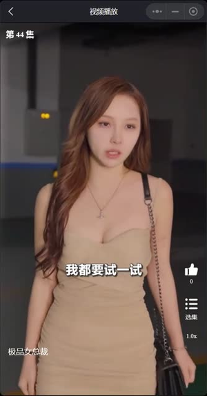 我的极品女总裁丨全集短剧网页直接看