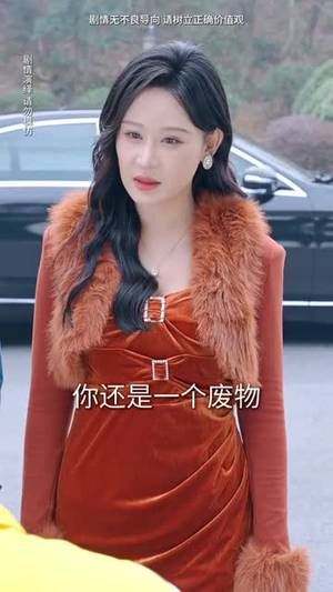 我的孩子只能姓李丨50集高清短剧流畅播放