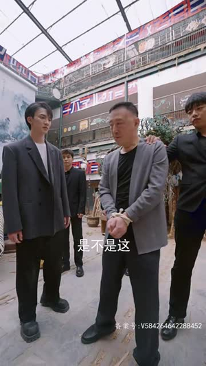 一飞冲天（一步登天）丨89集高清短剧一键播放