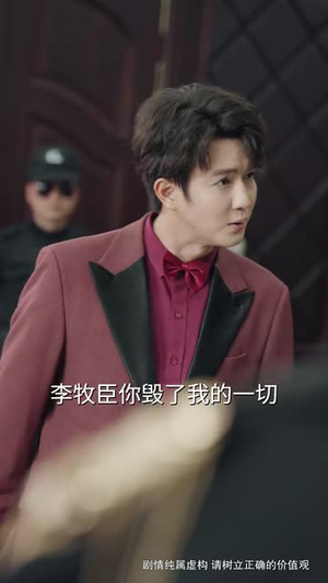 无双荣耀丨55集全集高清在线观看