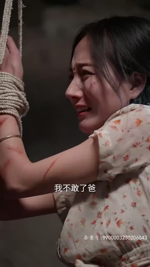 寻亲丨35集剧情完整版在线畅看