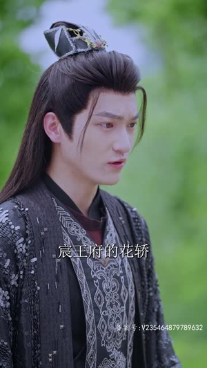 王妃复仇记丨70集独家短剧免费看全集