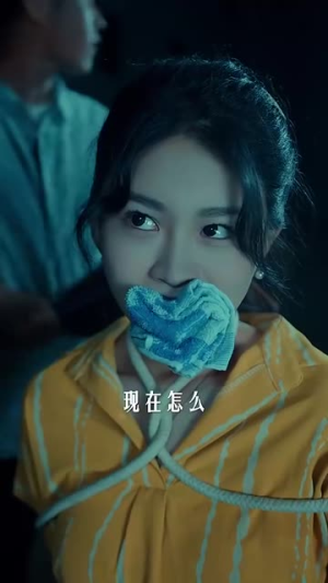 重生之山河图丨85集高清流畅短剧解锁