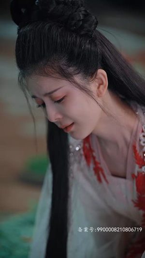 不负昭华(52集) 不负昭华(52集)短剧最终回限免畅看