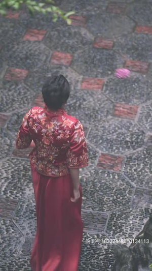 少帅不敢爱丨80集全集在线高清免费观看