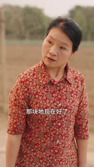奶奶的海丨31集高清短剧全集一次看过瘾