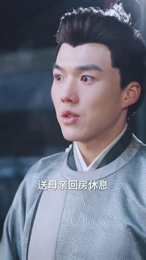 风起时，花已落丨49集剧情短剧即点即看