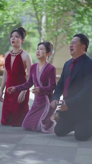 漫漫星河人间滚烫丨70集短剧免费观看无广告