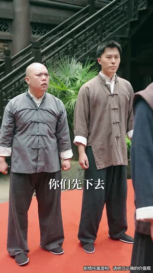 侠之大者之飞鸿传奇丨71集高清流畅短剧全集