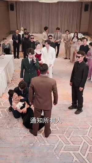 黎小姐，这三个哥哥不要也罢丨70集高清短剧随心看