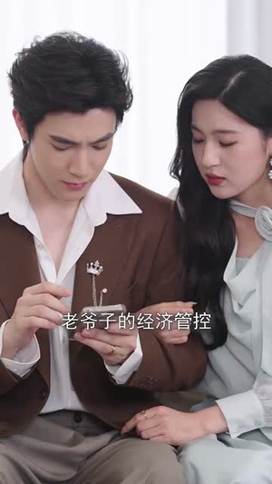 别惹太奶奶丨65集全集免费观看短剧