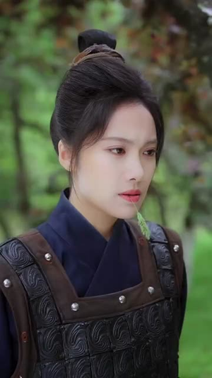 将门贵女(73集) 将门贵女(73集)短剧全集热力排行榜之一
