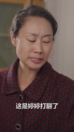 回家带孩子(25集) 回家带孩子(25集)短剧大结局合集放送