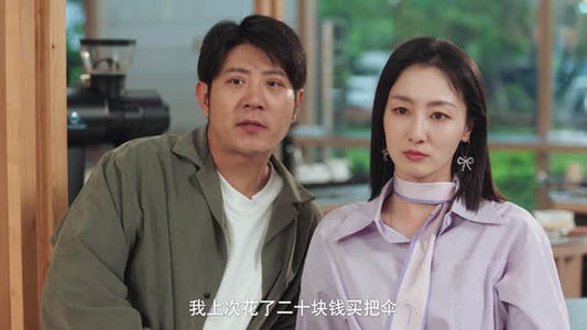 再婚爱人（16集）短剧合集蓝光画质