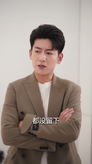 她说爱情回来过(86集) 她说爱情回来过(86集)短剧合集蓝光画质