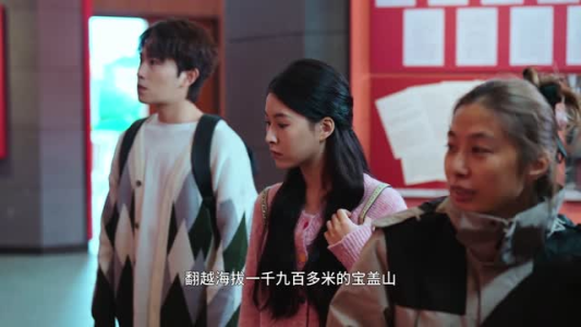 冬青树上果犹红(9集) 冬青树上果犹红(9集)短剧全剧终限免合集